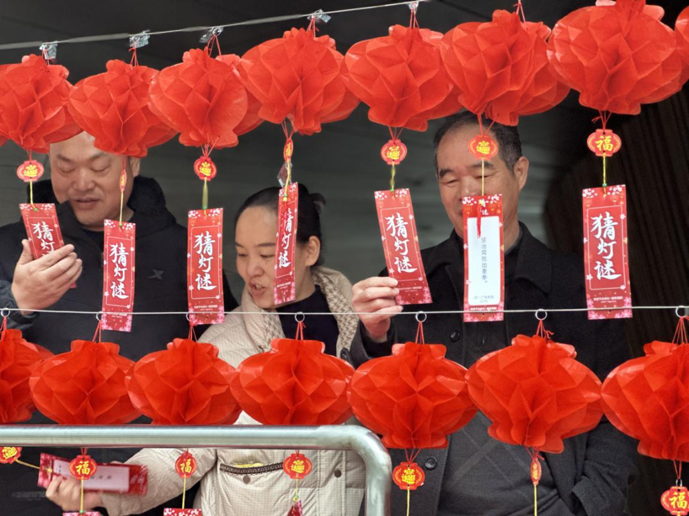 图片4