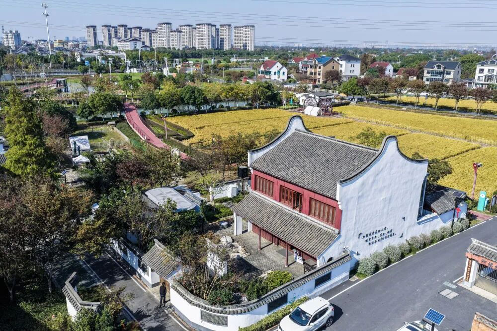 图片7