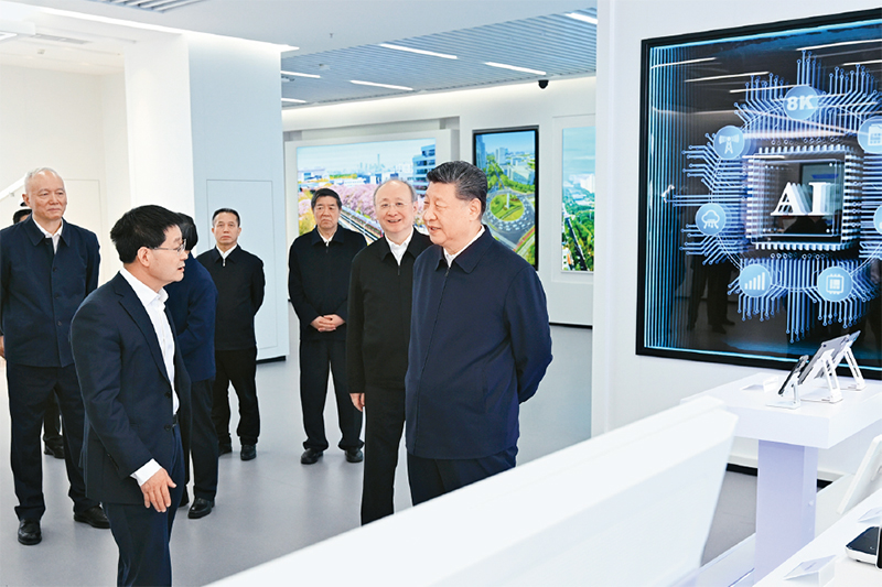 图片6