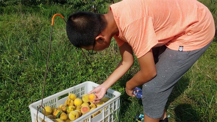 微信图片_20180807152322.jpg